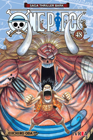 One piece 48