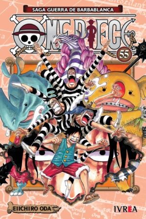 One piece 55