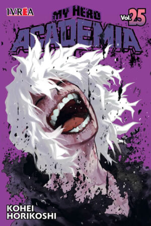 My Hero Academia 25