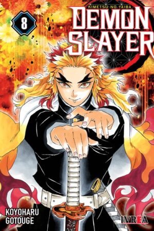 Demon Slayer (Kimetsu no Yaiba) 08