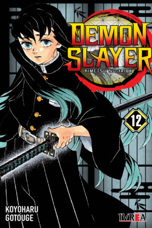 Demon Slayer (Kimetsu no Yaiba) 12