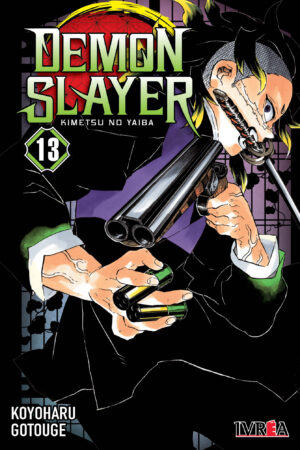 Demon Slayer (Kimetsu no Yaiba) 13