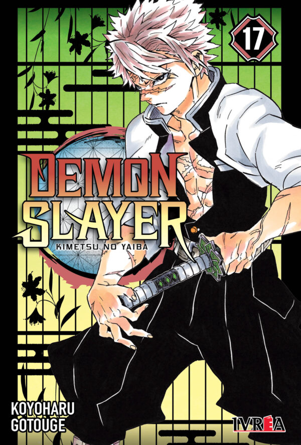 Demon Slayer (Kimetsu no Yaiba) 17