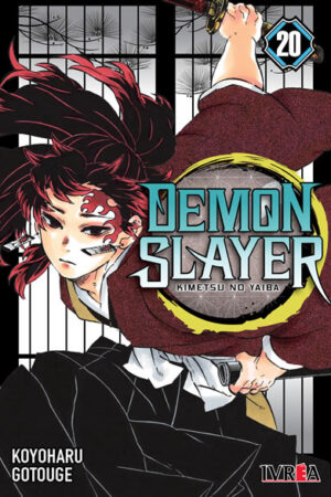 Demon Slayer (Kimetsu no Yaiba) 20