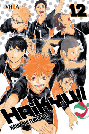 Haikyu!! 12