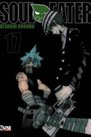 Soul Eater 17